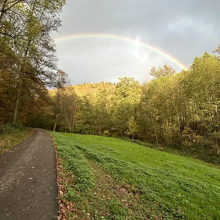 Dk Deutscher Kaiser Hotel Heidelberg